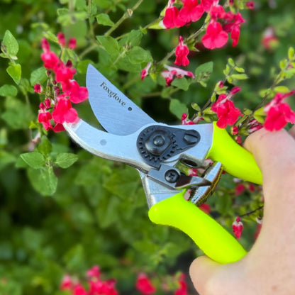 Foxglove Pruning Shears - Bypass Hand Pruners, Japanese SK5 Blades Shears