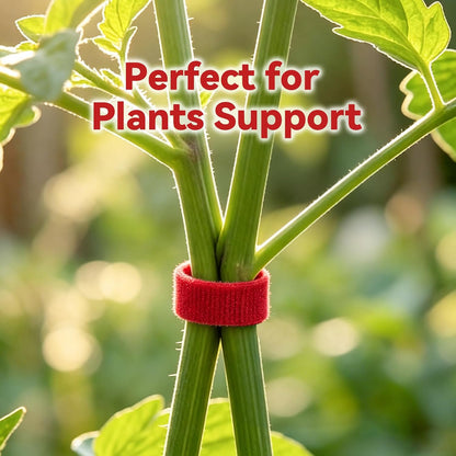 50FT Nylon Garden Tie Plant Tape Supports for Climbing Plants Green