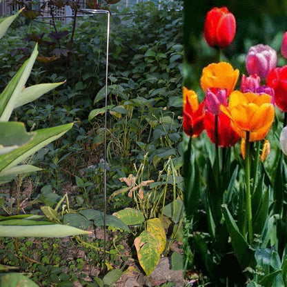 30 Inch Or 16 InchPlant Stakes for Flowers - 10 Pack, Adjustable Height