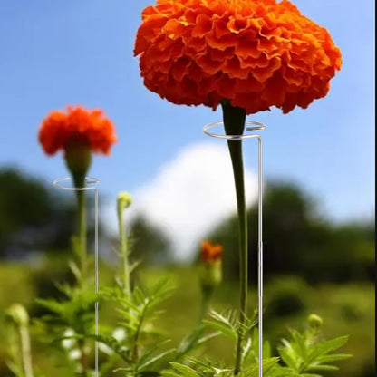 30 Inch Or 16 InchPlant Stakes for Flowers - 10 Pack, Adjustable Height