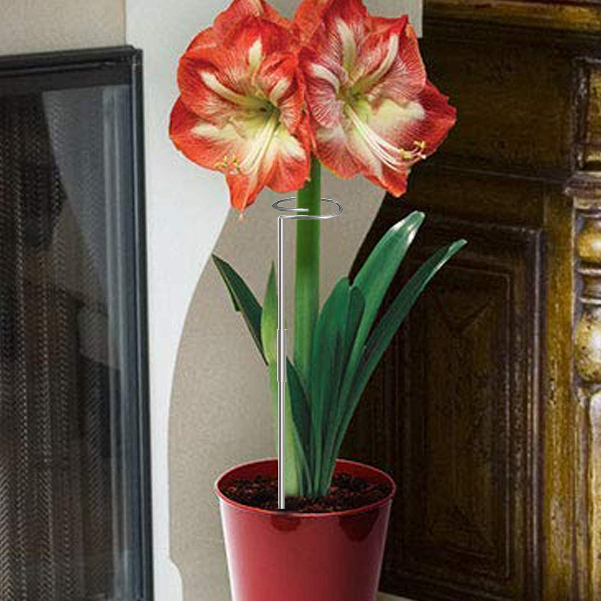 30 Inch Or 16 InchPlant Stakes for Flowers - 10 Pack, Adjustable Height