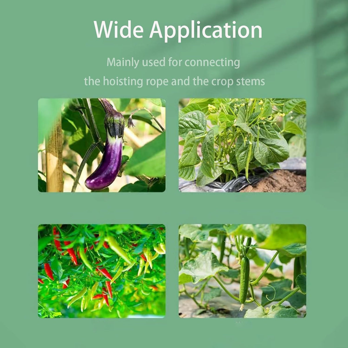 Plant Support Clips for Climbing Plants, Garden, Tomato Vines, Grape and Vine Vegetables, Plastic Plant Fixing Clips (50)
