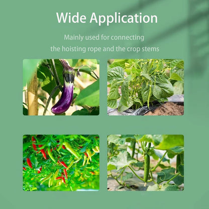 Plant Support Clips for Climbing Plants, Garden, Tomato Vines, Grape and Vine Vegetables, Plastic Plant Fixing Clips (50)