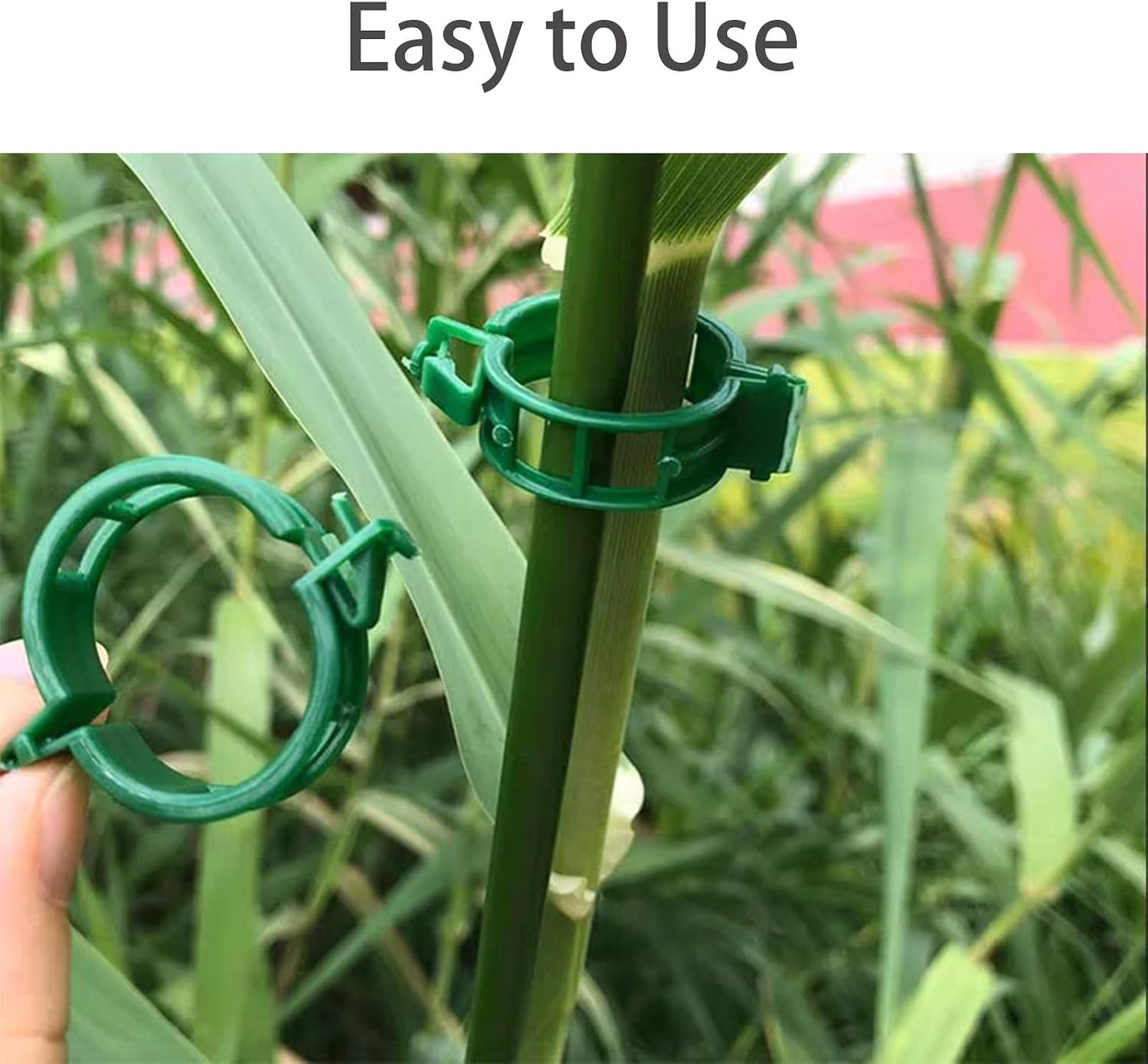 Plant Support Clips for Climbing Plants, Garden, Tomato Vines, Grape and Vine Vegetables, Plastic Plant Fixing Clips (50)