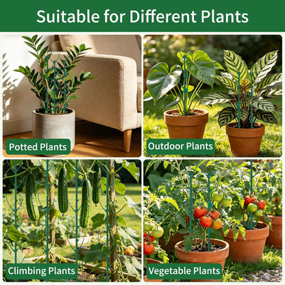 12 Pack Monstera Plant Support, Stackable Plant Supports for Indoor Plants, Pothos Plant Climber Pole, Adjustable Stakes for Indoor Plants Training & Vertical Growth Support Stakes