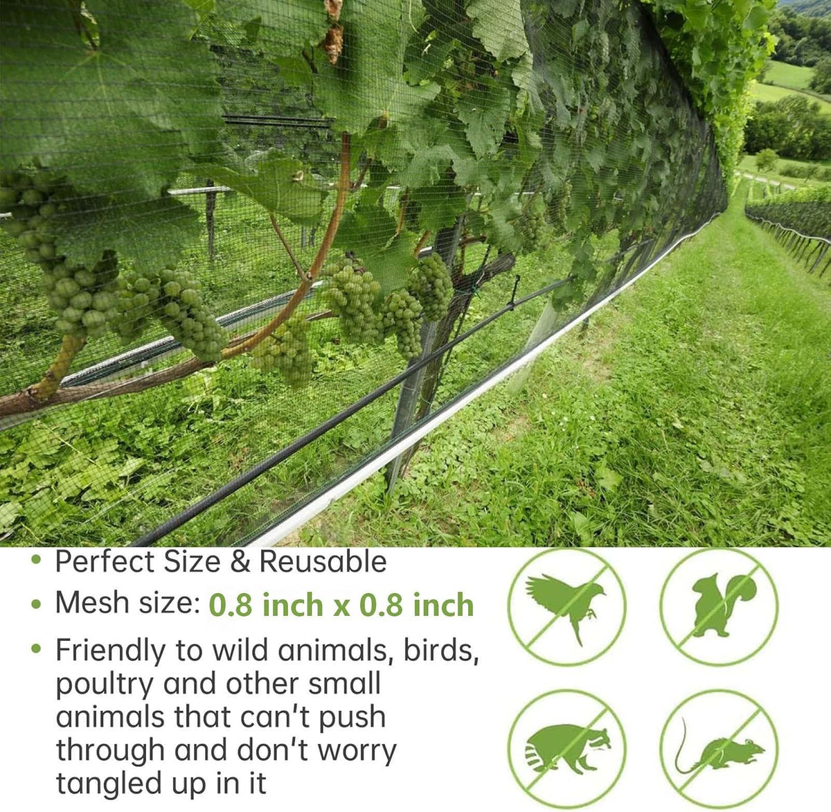 13x32FT Garden Bird Netting, Anti Bird Netting for Fruit Trees, 0.8" Mesh