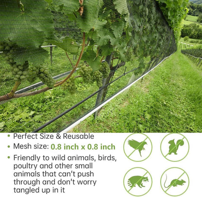 13x32FT Garden Bird Netting, Anti Bird Netting for Fruit Trees, 0.8" Mesh