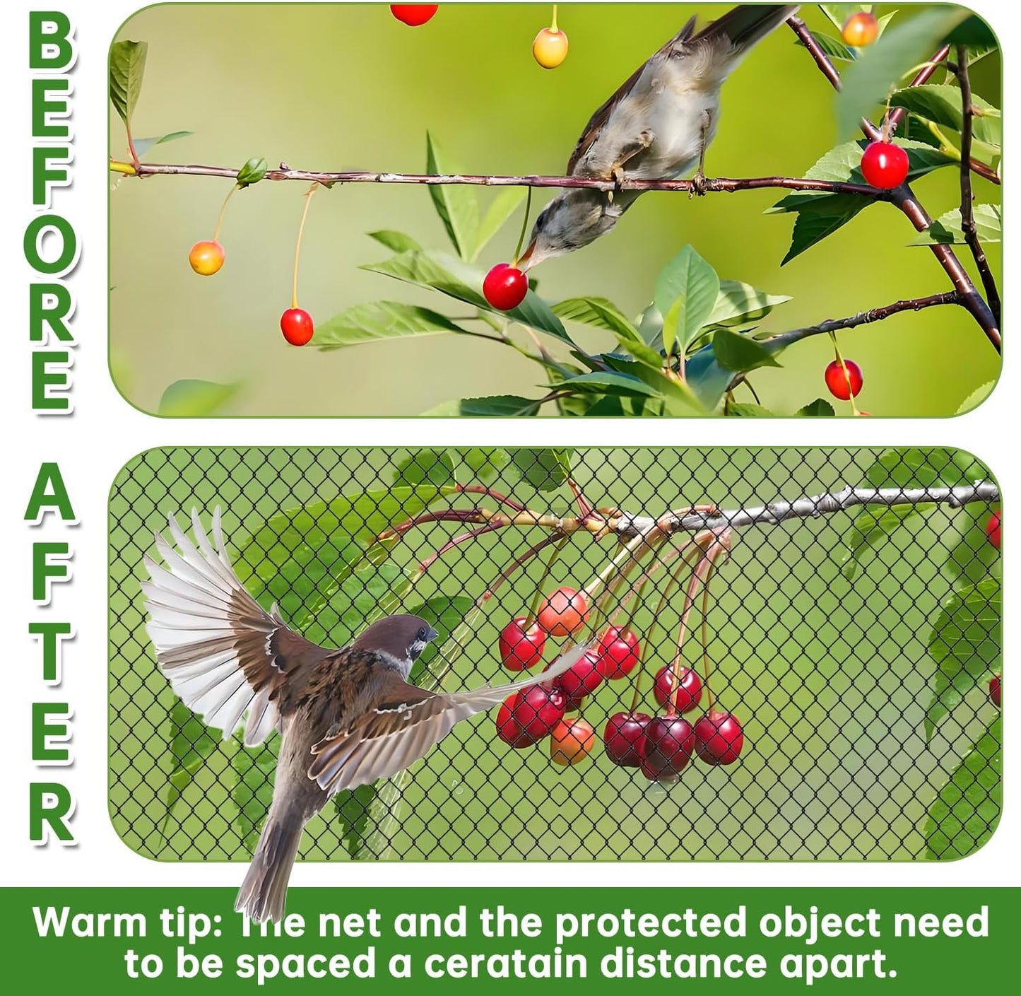 13x32FT Garden Bird Netting, Anti Bird Netting for Fruit Trees, 0.8" Mesh