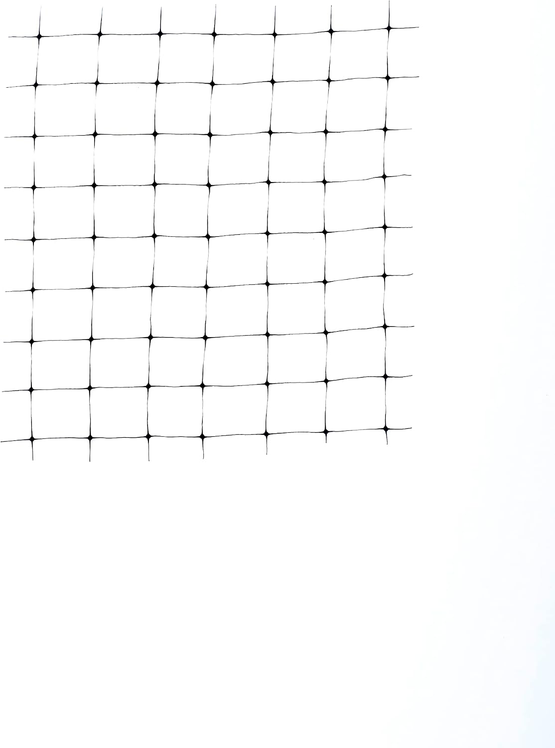 2A240037 Bird Net 14'x14' Black