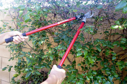 Lopper & Pruner Kit