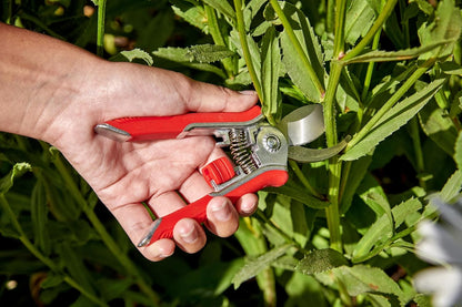 Lopper & Pruner Kit