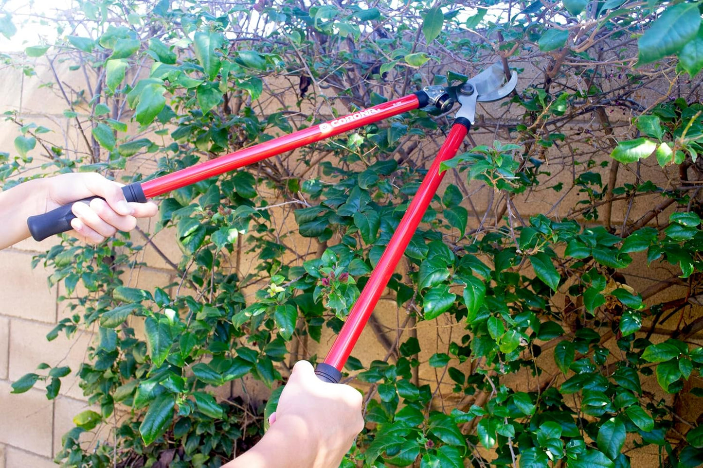 Lopper & Pruner Kit