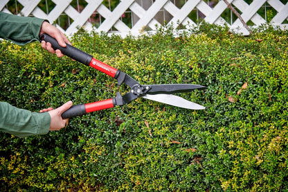 Lopper & Pruner Kit