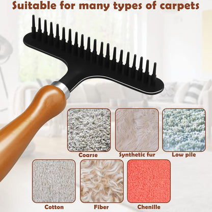 Portable Carpet Rake, Matted & Shag Rug Rake, 6.0 x 4.3 inches, Black