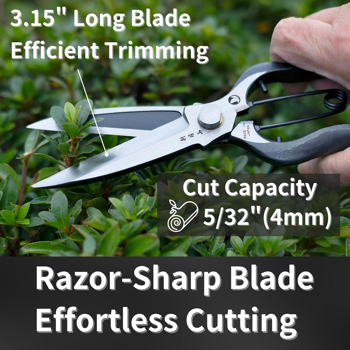 Japanese Pruning Shears for Gardening 8”, Professional Heavy Duty Bypass Pruners, Hand Forged Japanese Carbon Steel Blade, Spring Loaded Handle, Made in Japan