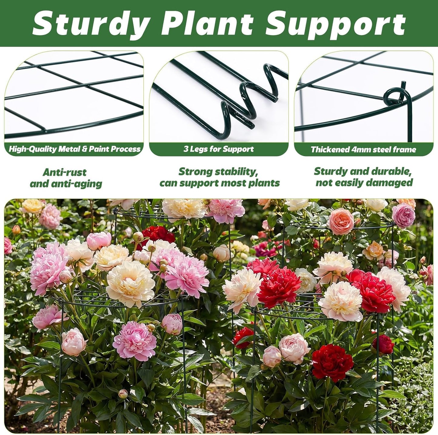 4 Pack Round Peony Cages and Supports 20 x 30 Inches (D x H) Grow Through Grid Plant Brace Plant Support Stake Heavy Duty Metal Flower Support Rings for Rose Tomato Hydrangea Strawberry
