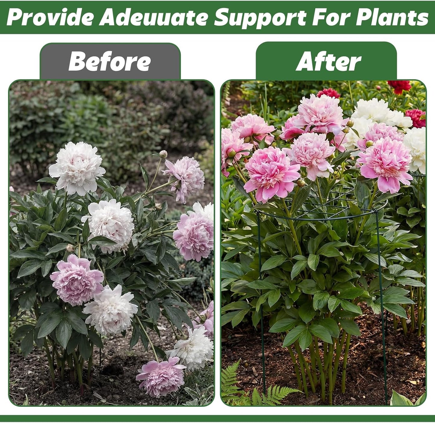 4 Pack Round Peony Cages and Supports 20 x 30 Inches (D x H) Grow Through Grid Plant Brace Plant Support Stake Heavy Duty Metal Flower Support Rings for Rose Tomato Hydrangea Strawberry