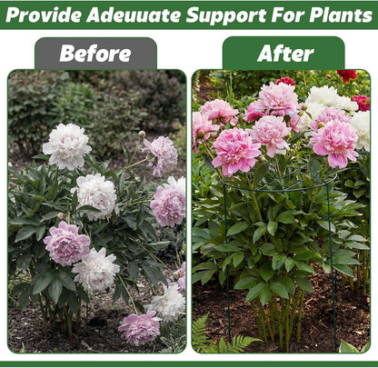 4 Pack Round Peony Cages and Supports 20 x 30 Inches (D x H) Grow Through Grid Plant Brace Plant Support Stake Heavy Duty Metal Flower Support Rings for Rose Tomato Hydrangea Strawberry
