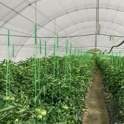 30Pcs Tomato Hooks with String, Tomato Support Hooks, Tomato Holder Hooks & Plant Support Clips with 33.3ft Twine to Prevent Tomatoes from Pinching or Falling Off