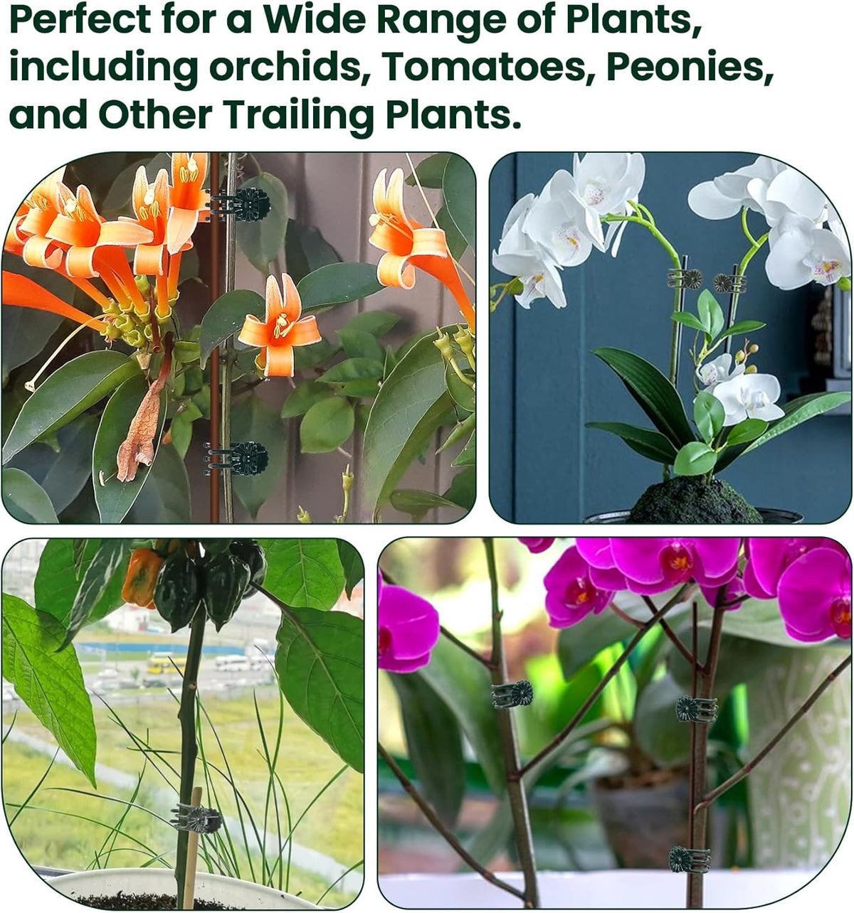 60Pcs Plant Clips for Climbing Plants, Orchid Clips for Plants Support, Indoor & Garden Clip for Climbing Plant Pins, Perfect for Vines & Flowers, Easy to Use Durable, Green