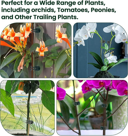 60Pcs Plant Clips for Climbing Plants, Orchid Clips for Plants Support, Indoor & Garden Clip for Climbing Plant Pins, Perfect for Vines & Flowers, Easy to Use Durable, Green