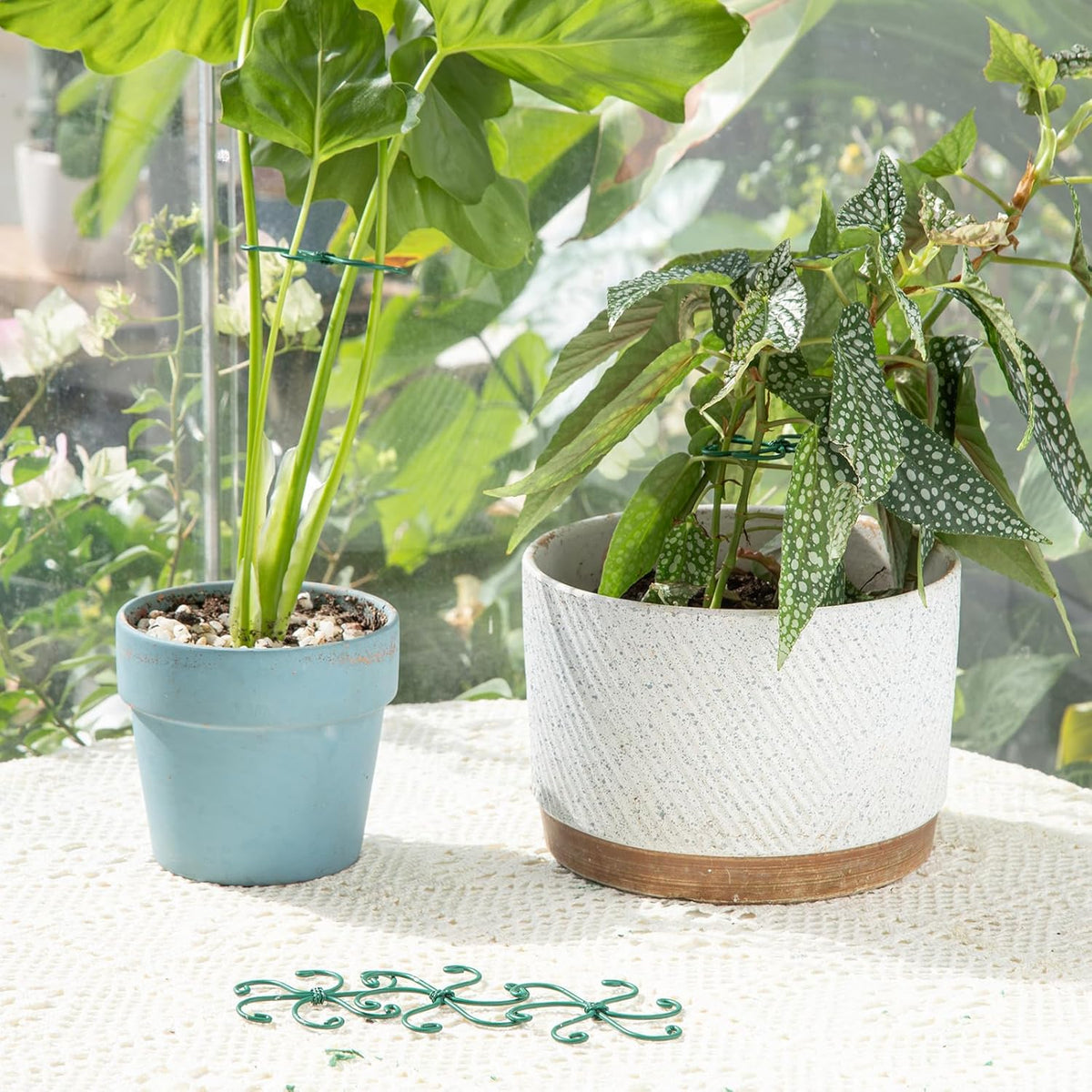5PCS Monstera Plant Support Hook - 4.1 * 4.4IN Stem Holder