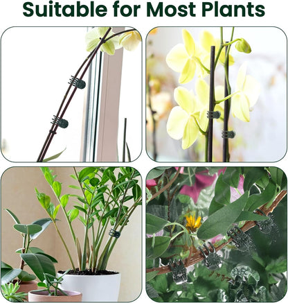 60Pcs Plant Clips for Climbing Plants, Orchid Clips for Plants Support, Indoor & Garden Clip for Climbing Plant Pins, Perfect for Vines & Flowers, Easy to Use Durable, Green