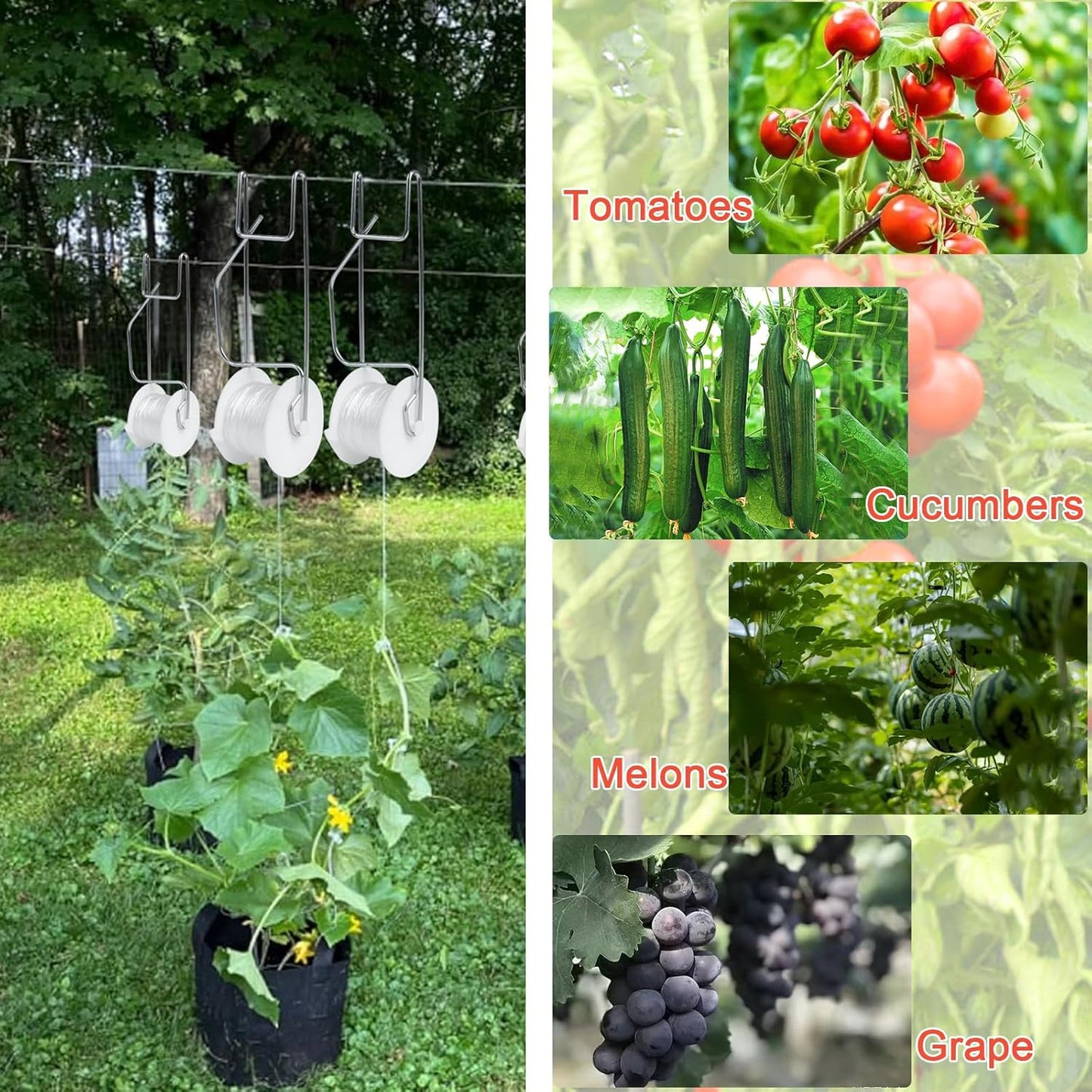 Tomato Support Hooks with String 20 Pcs,100 Pcs Plant Support Clips for Climbing Plants,Tomato Trellis Roller Hooks with 49.2FT String,Reusable Grape Vine Clips to Prevent Tomatoes