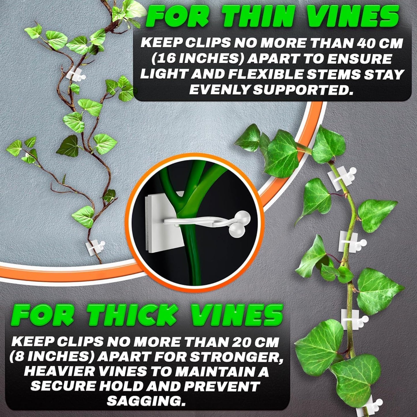 Plant Wall Clips for Climbing Plants 110 Pcs - Pothos Plant Climber Support, Large, Medium, Small Sizes Wall Clips for Support, Strong Self-Adhesive, For Indoor Plants, Cable Management & Plant Holder