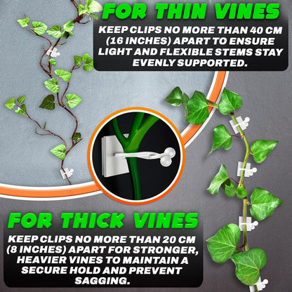 Plant Wall Clips for Climbing Plants 110 Pcs - Pothos Plant Climber Support, Large, Medium, Small Sizes Wall Clips for Support, Strong Self-Adhesive, For Indoor Plants, Cable Management & Plant Holder