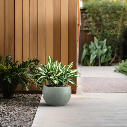 Large Round Bowl Vintage BRN Concrete Planter 19.9" Dia, Outdoor