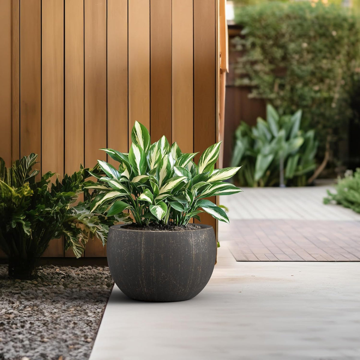 Large Round Bowl Vintage BRN Concrete Planter 19.9" Dia, Outdoor