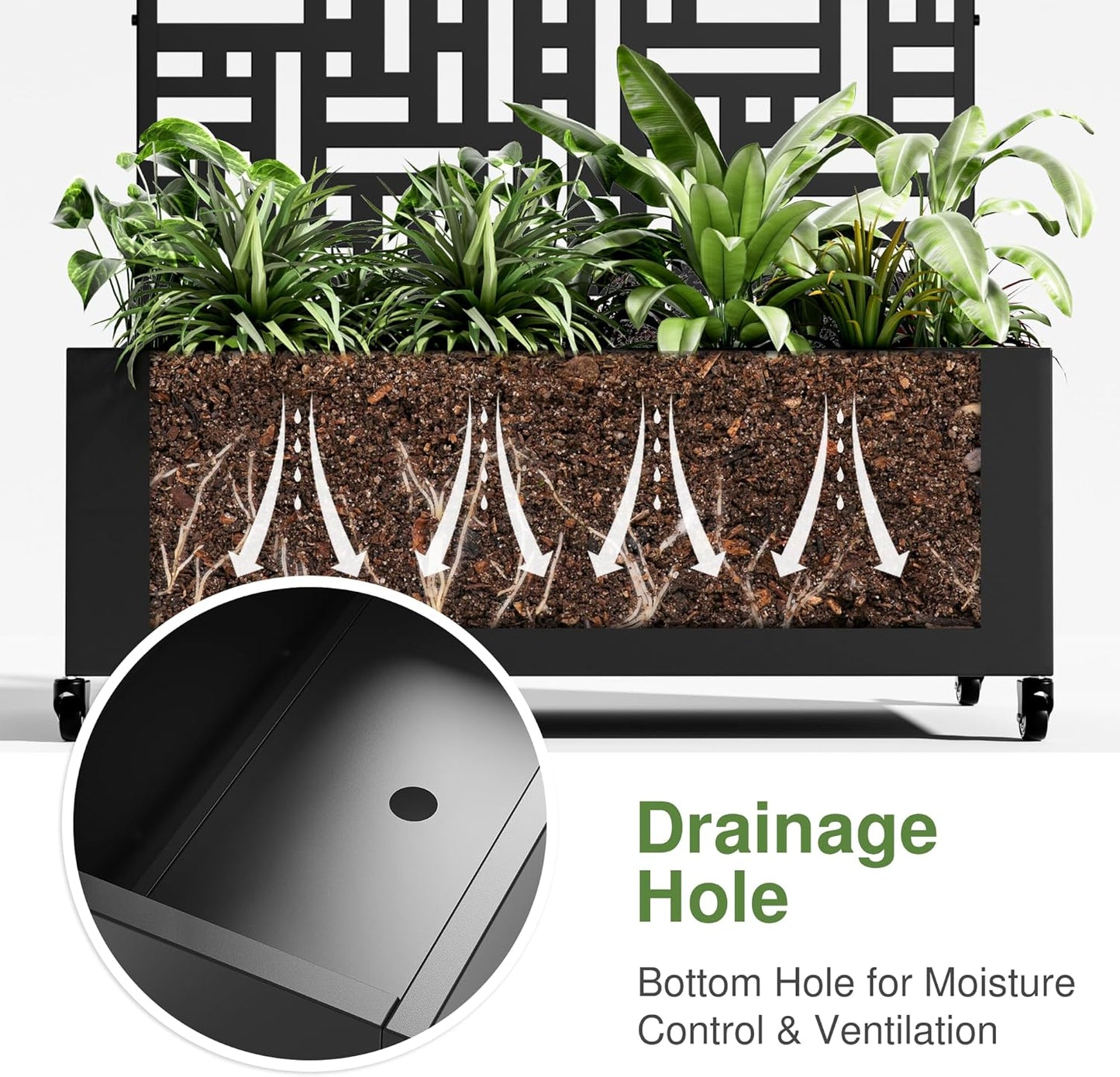 Casaphoria Metal Raised Garden Bed with Trellis and Wheels, 72"x47"x16" Planter Box for Climbing Plants, Vegetables & Vines, Features Drainage Holes and Privacy Screen (Black-Louver) - Colors D