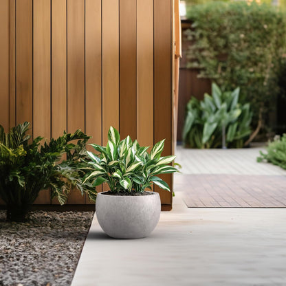 Large Round Bowl Vintage BRN Concrete Planter 19.9" Dia, Outdoor