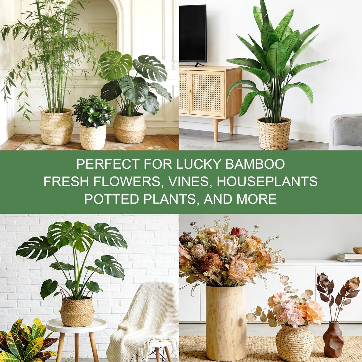 8 Pack Upgraded Plant Stem Support, Clear Plant Support for Indoor Plants, Monstera Plant Support, Reusable Plant Stabilizer, 4 Sizes Included Plant Accessories