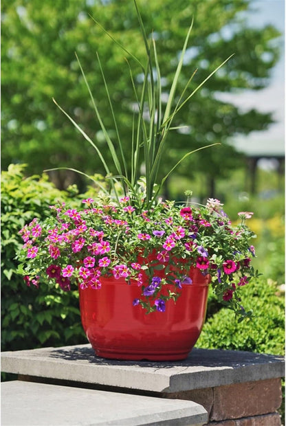 Garden Elements Indoor/Outdoor Glazed Brushed Happy Plastic Planter, Large, Bright Pink, 15"