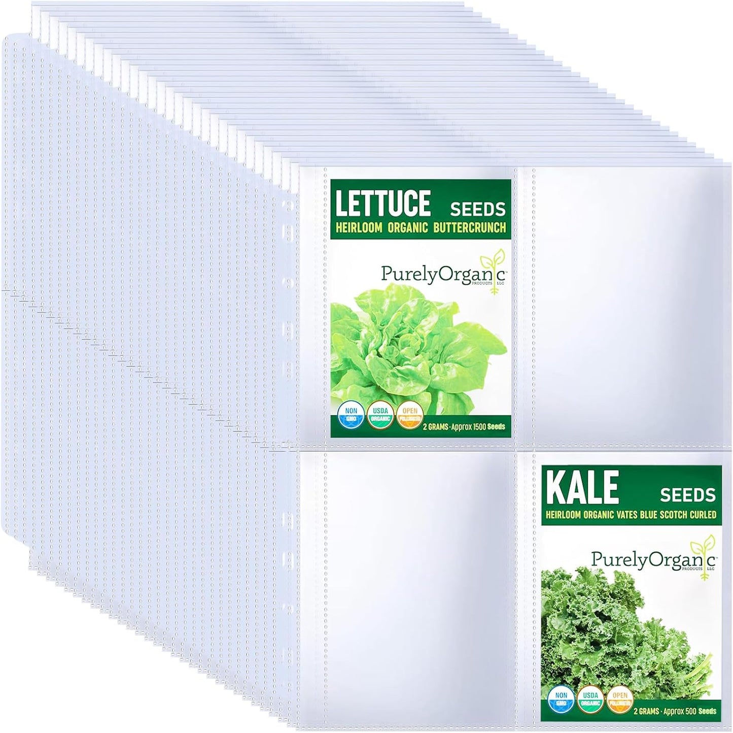 MUQING Seed Storage Organizer Binder, Holds 200 Seed Packets with Flip-Top Lid Sleeves, 50 Pages + 12 Monthly Cards + 4-Season Color-Coded Dividers, Faux Leather Seed Keeper Book for Gardeners (Green)