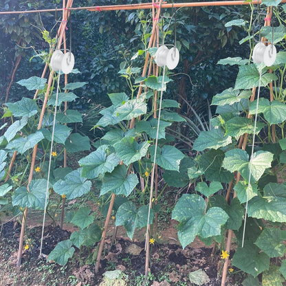 Tomato Support Hooks with String 20 Pcs,100 Pcs Plant Support Clips for Climbing Plants,Tomato Trellis Roller Hooks with 49.2FT String,Reusable Grape Vine Clips to Prevent Tomatoes