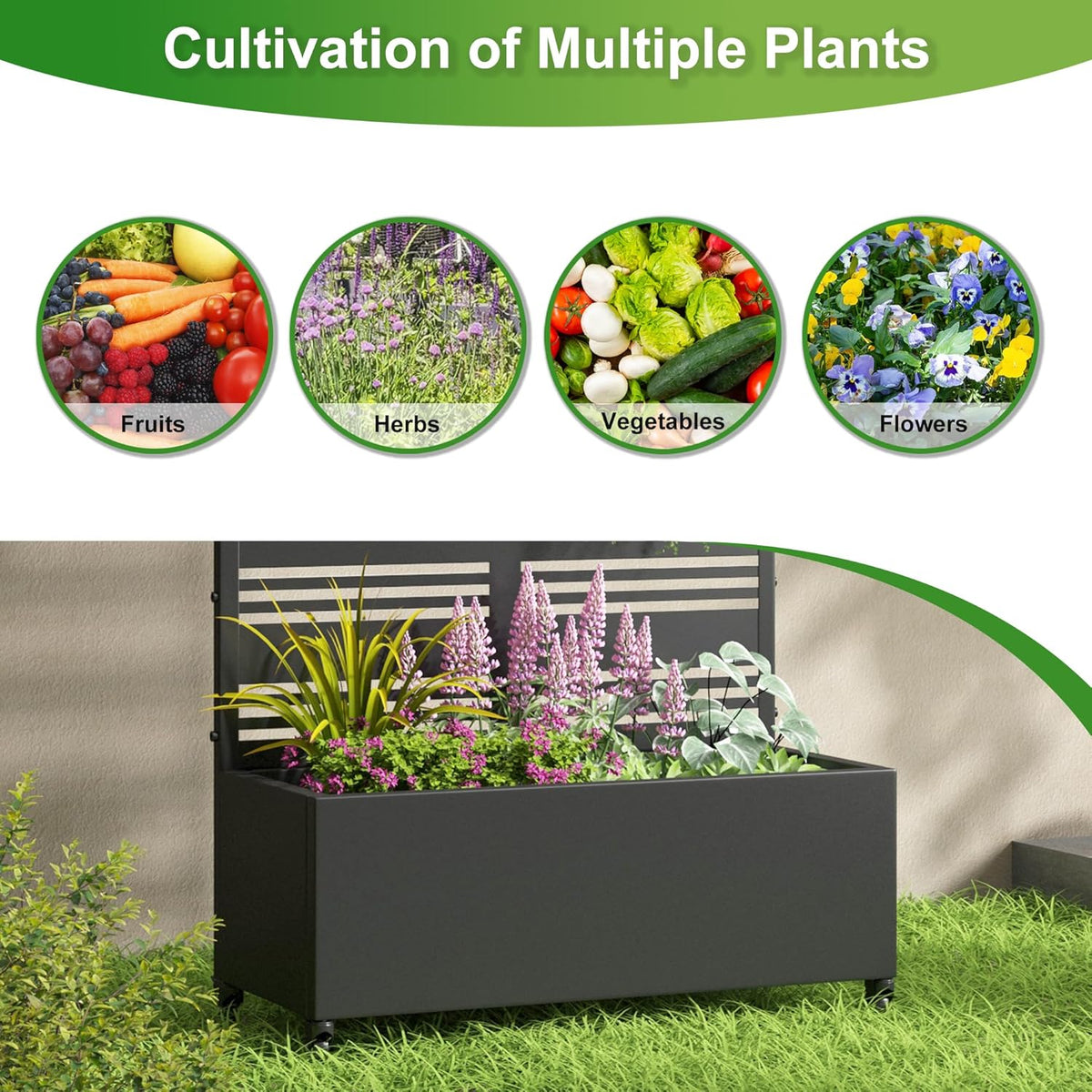 Casaphoria Metal Raised Garden Bed with Trellis and Wheels, 72"x47"x16" Planter Box for Climbing Plants, Vegetables & Vines, Features Drainage Holes and Privacy Screen (Black-Louver) - Colors D