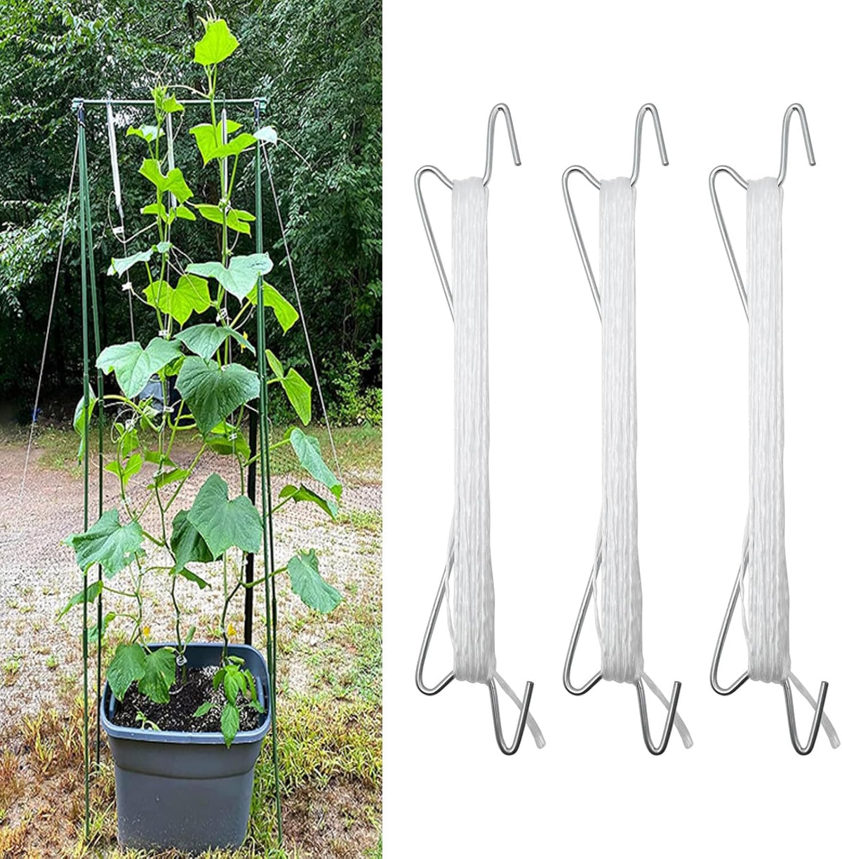 Saihisday Plant Climbing Hooks Tomato Support J Hook Reusable Tomato Twine String Cucumber Trellis Clips Plant Support Clips
