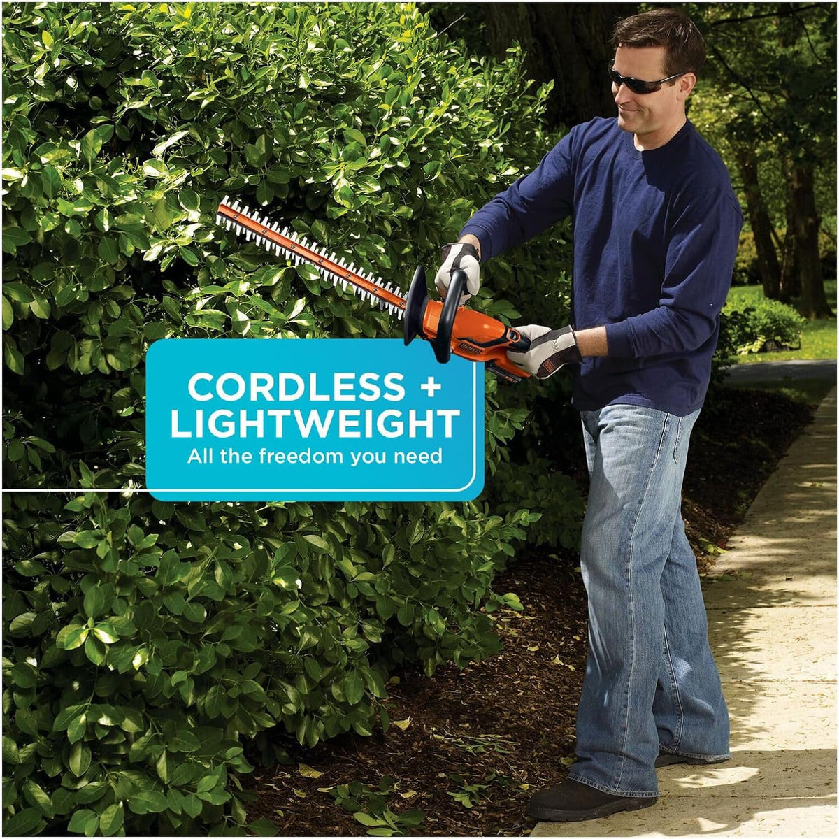 BLACK+DECKER 20V MAX Cordless Hedge Trimmer, Battery and Charger Included, 22 Inch Steel Blade Lightweight Bush Trimmer, Soft Grip, Less Vibration (LHT2220)