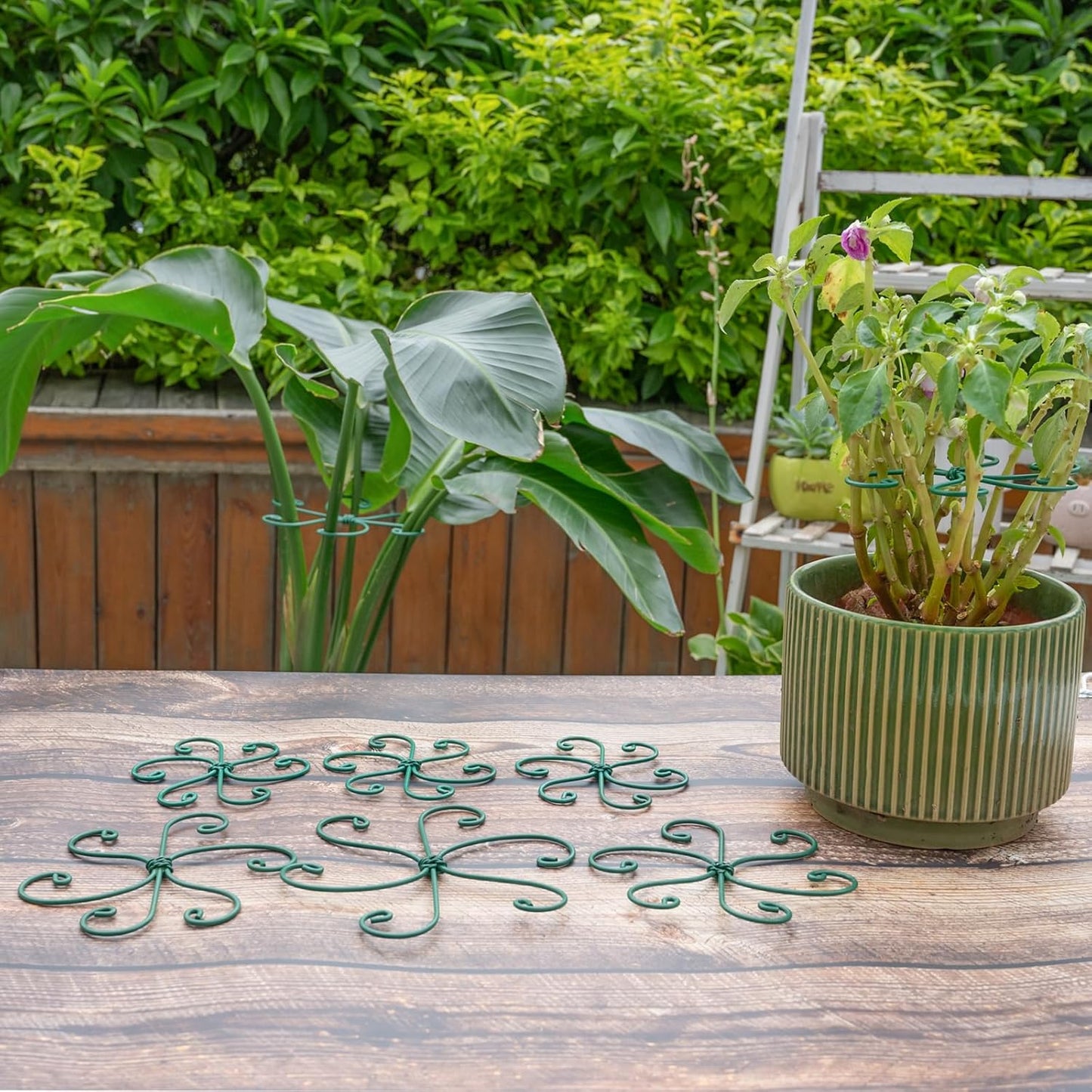 5PCS Monstera Plant Support Hook - 4.1 * 4.4IN Stem Holder