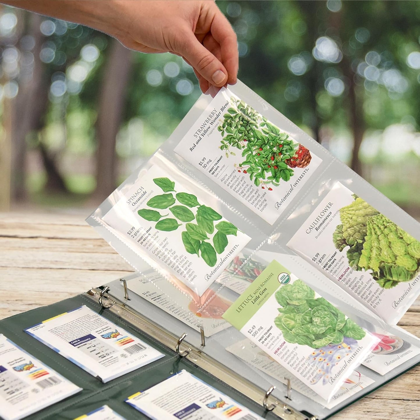 Samsill 50 Pack Heavy Weight 4 Pocket Garden Seeds Storage Clear Sheet Protectors, Seed Organizer, Each Pocket Measures 3.5" x 5.25", Fits in Standard 3 Ring Binder
