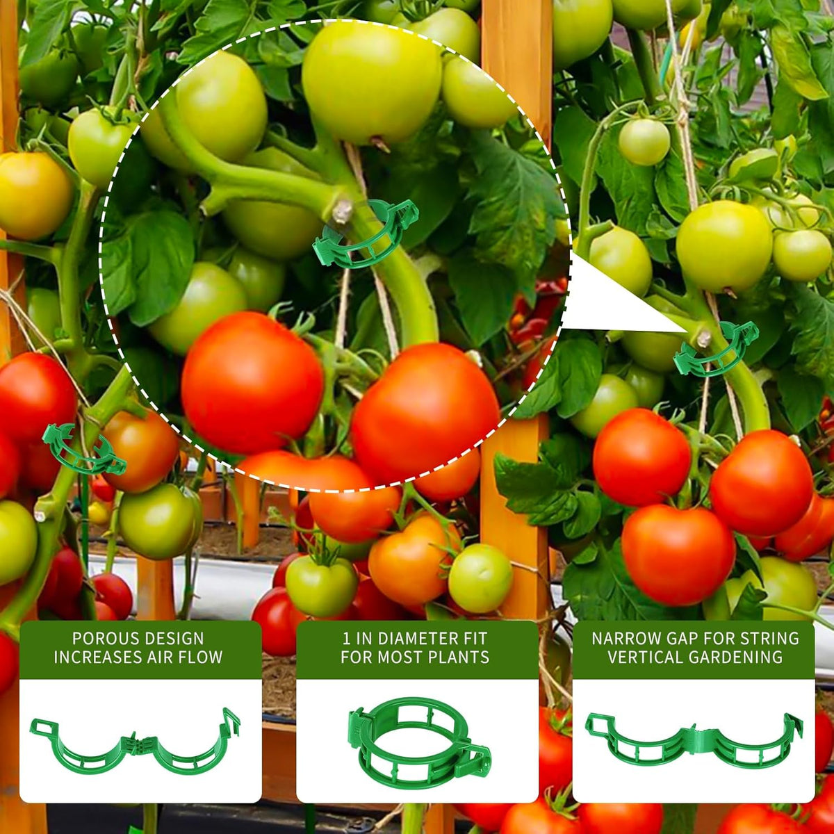 30Pcs Tomato Hooks with String, Tomato Support Hooks, Tomato Holder Hooks & Plant Support Clips with 33.3ft Twine to Prevent Tomatoes from Pinching or Falling Off