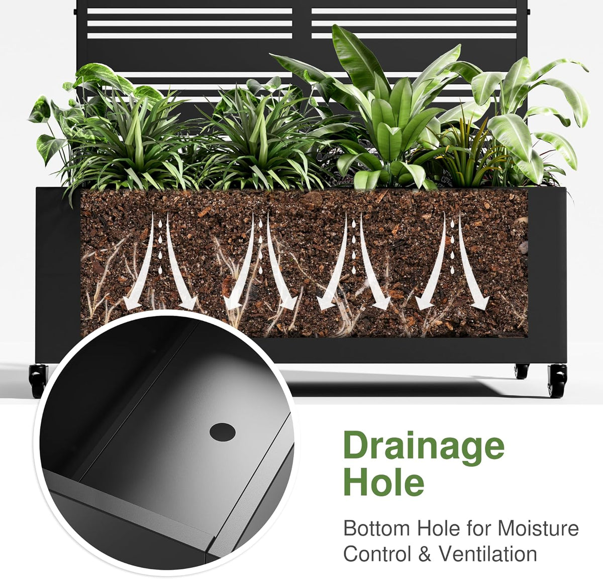 Casaphoria Metal Raised Garden Bed with Trellis and Wheels, 72"x47"x16" Planter Box for Climbing Plants, Vegetables & Vines, Features Drainage Holes and Privacy Screen (Black-Louver) - Colors C