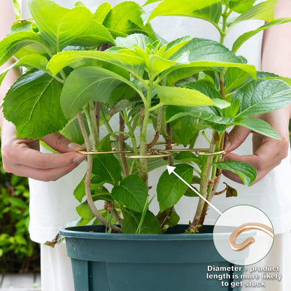 5PCS Monstera Plant Support Hook - 4.1 * 4.4IN Stem Holder