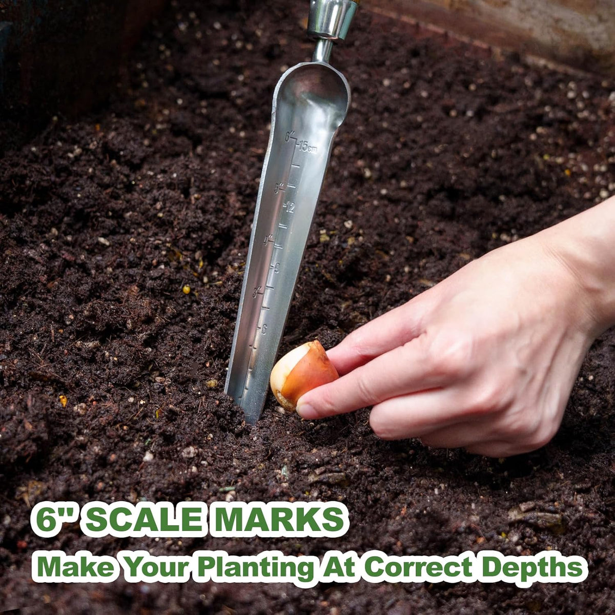 Haliaeetus Seeding Widger with 6'' Scale, Stainless Steel Planting Trowel for Repotting, Long and Narrow Widger for Weeding from Tight Areas, Hand Transplanter with Wood Handle for Planting, Digging