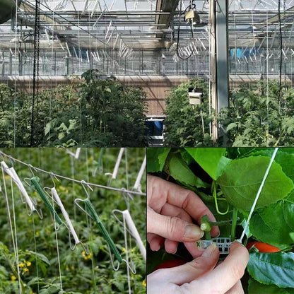 50PCS Tomato Hooks with String, Tomato and Vine Crop Trellis,Tomato Plant Support Clips with 33.3ft Twine to Prevent Tomatoes from Pinching or Falling Off(Green)