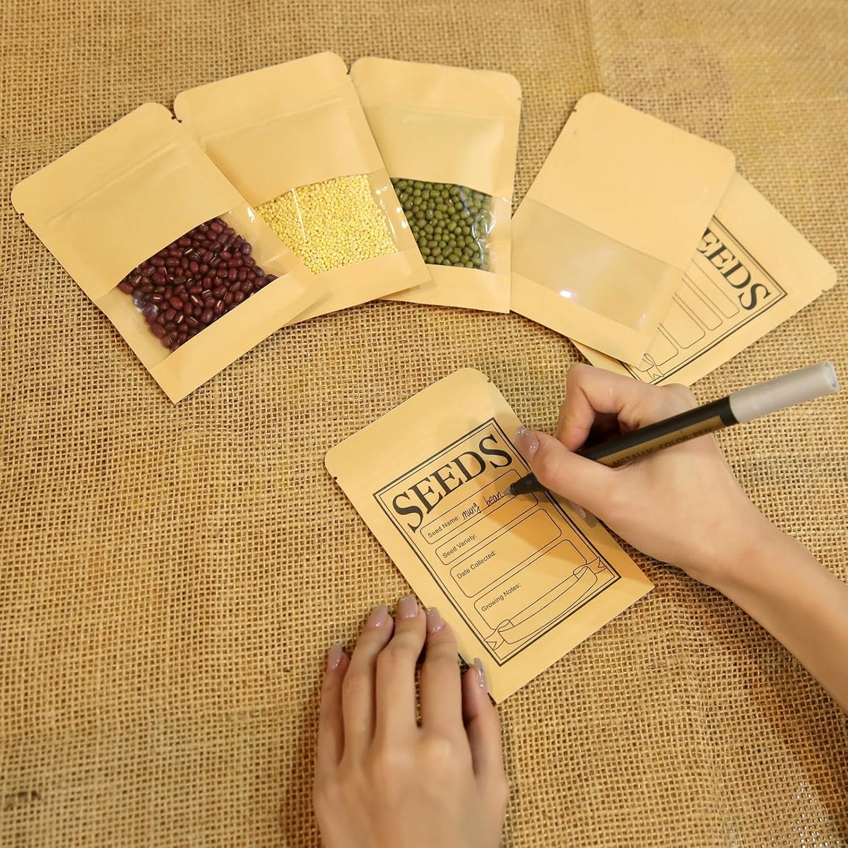 Seed Storage Organizer Box 60 Slots, with 20 Envelopes and Small Tool, Sturdy Seeds Saving Seed Bank Container Kit (Seeds not Included)