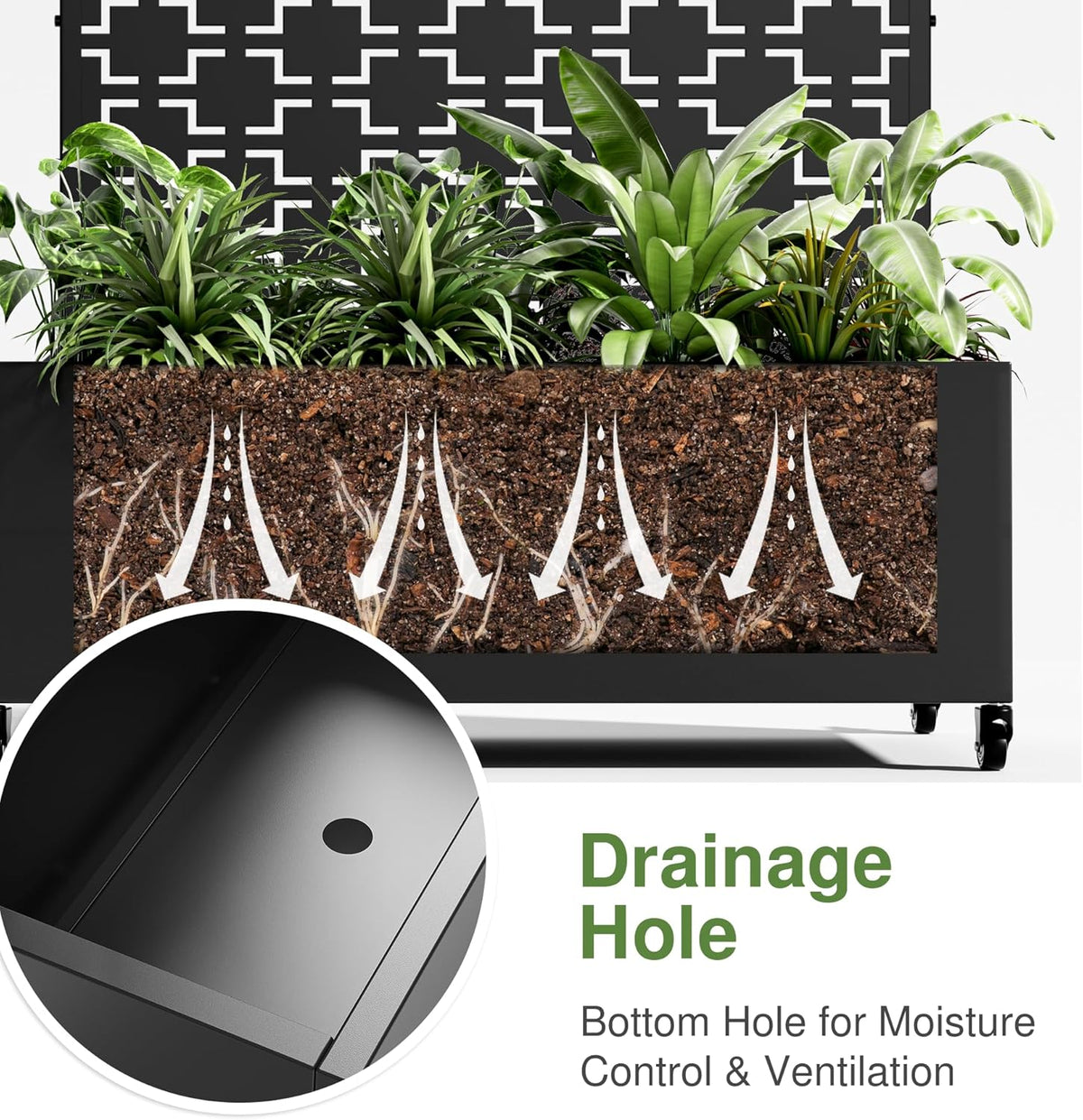 Casaphoria Metal Raised Garden Bed with Trellis and Wheels, 72"x47"x16" Planter Box for Climbing Plants, Vegetables & Vines, Features Drainage Holes and Privacy Screen (Black-Louver) - Colors D